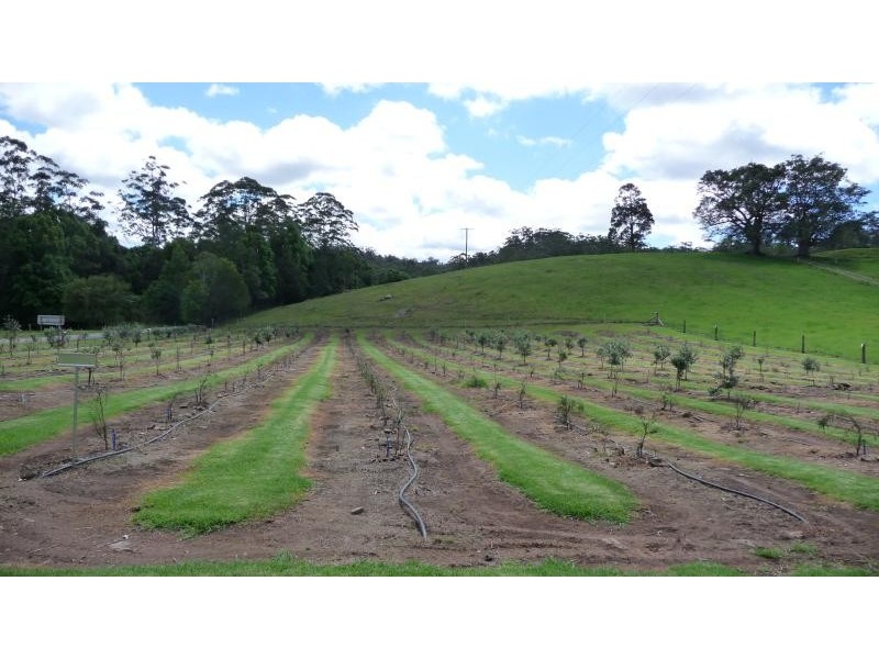 623 Batar Creek Road, Middle Brother NSW 2443