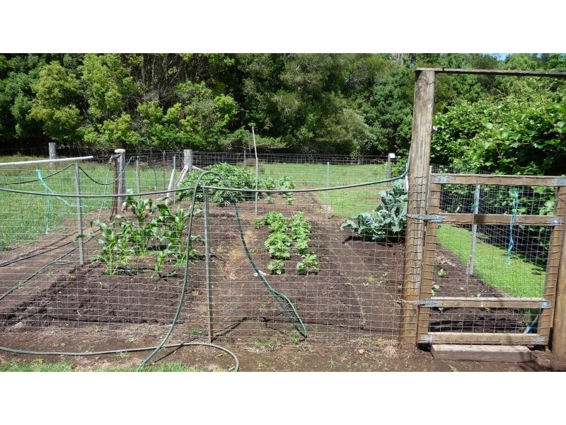 623 Batar Creek Road, Middle Brother NSW 2443