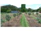 623 Batar Creek Road, Middle Brother NSW 2443