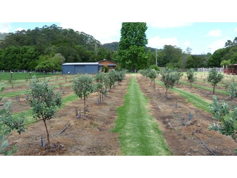 623 Batar Creek Road, Middle Brother NSW 2443