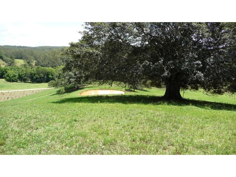 623 Batar Creek Road, Middle Brother NSW 2443