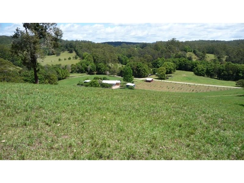 623 Batar Creek Road, Middle Brother NSW 2443