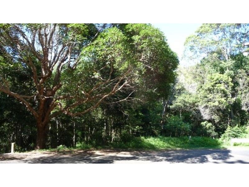 102 Owen Street, Port Macquarie NSW 2444