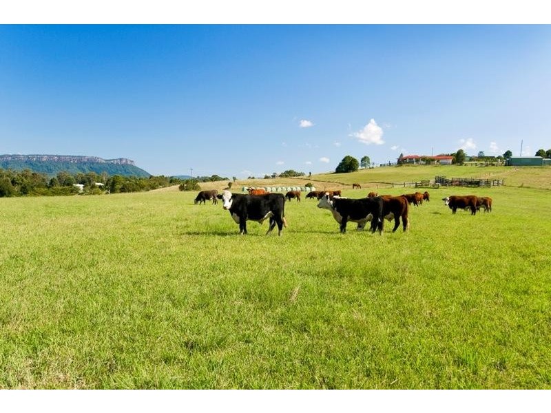 113 Koree Island Road, Beechwood NSW 2446