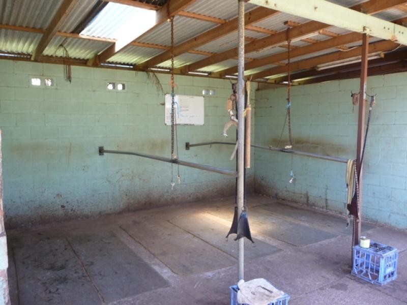 8 Racewyn Close, Port Macquarie NSW 2444