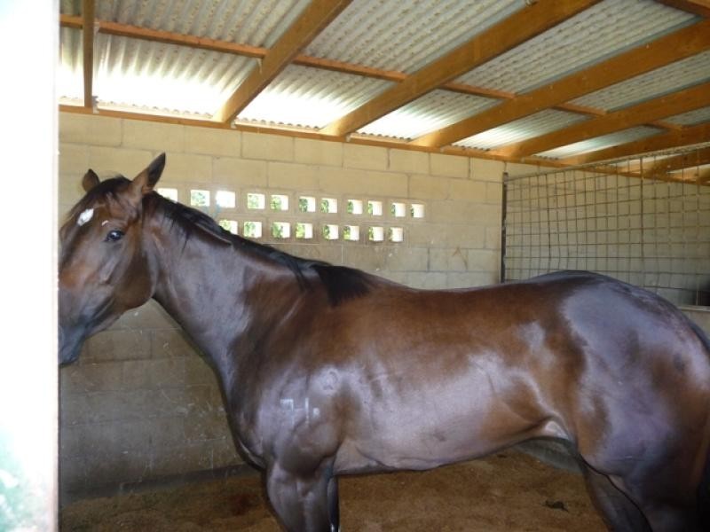 8 Racewyn Close, Port Macquarie NSW 2444