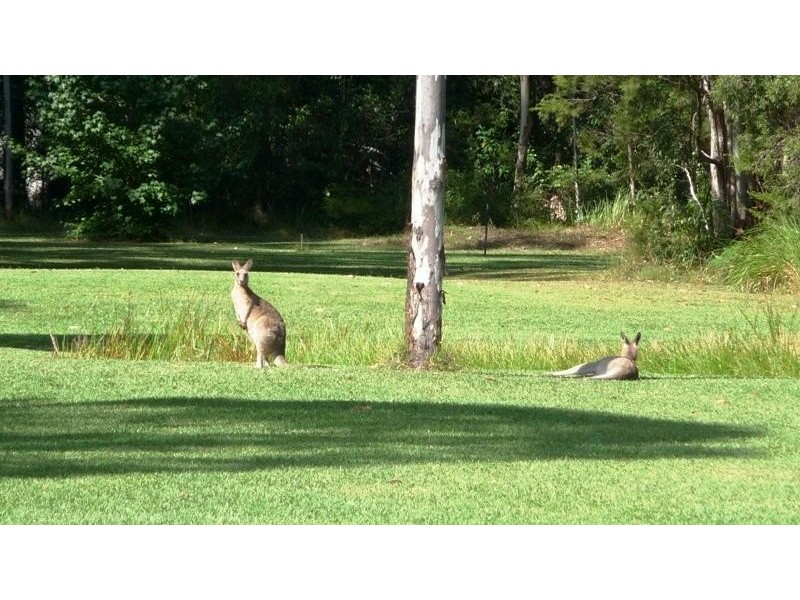 Lot 19 Oak Ridge Road, King Creek NSW 2446