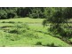 388 Red Hill Road, Telegraph Point NSW 2441
