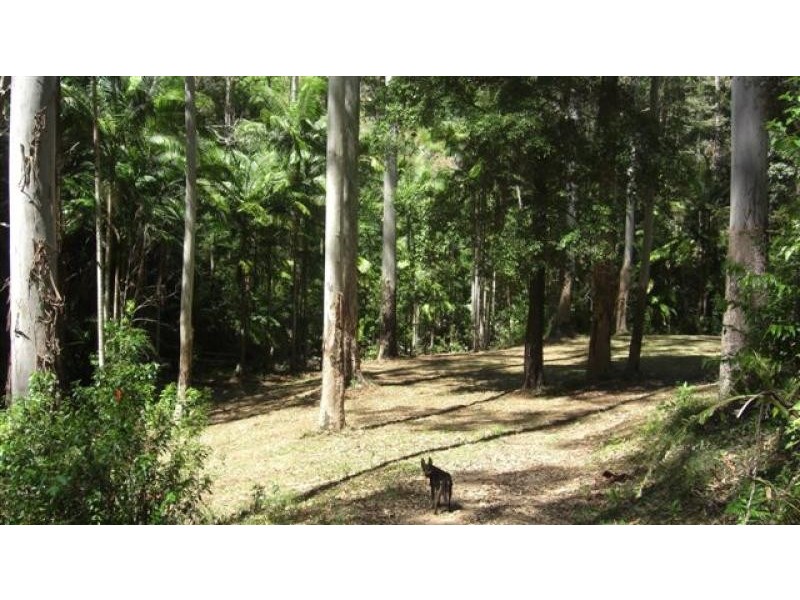 388 Red Hill Road, Telegraph Point NSW 2441