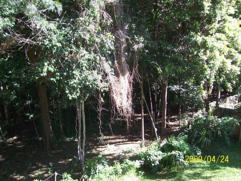 43 Karalee Parade, Port Macquarie NSW 2444