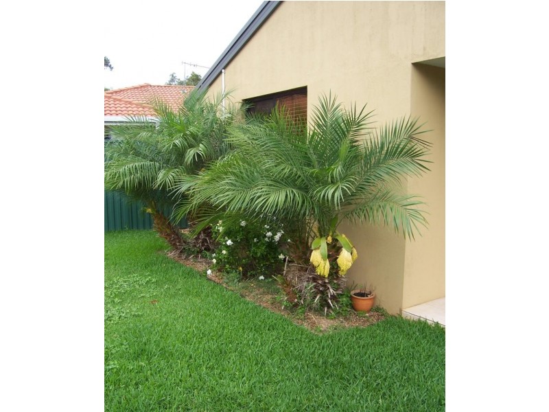 26 a Eliza Circuit, Port Macquarie NSW 2444