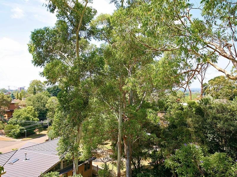 2 Enid Street, Denistone NSW 2114