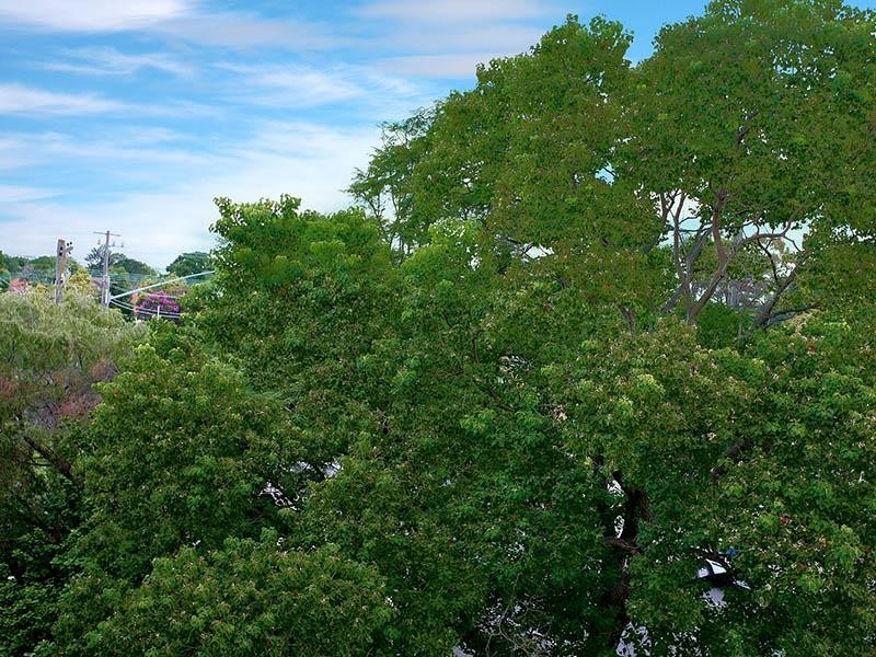 12/12 Adelaide Street, West Ryde NSW 2114