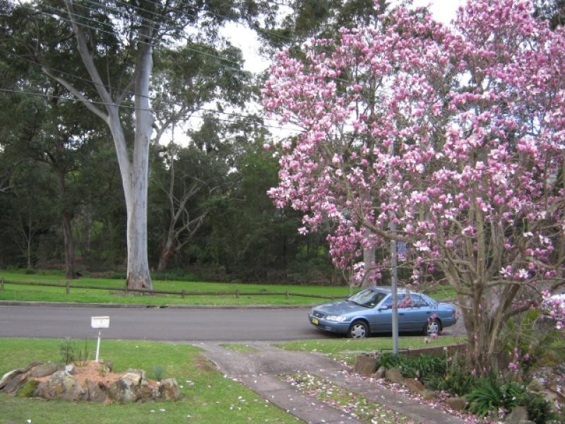 17 Bennetts Road West, Dundas NSW 2117