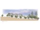 736 Victoria Road, Ermington NSW 2115