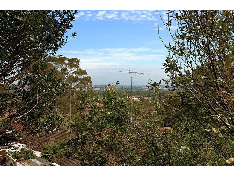 58 Terry Road, Denistone NSW 2114