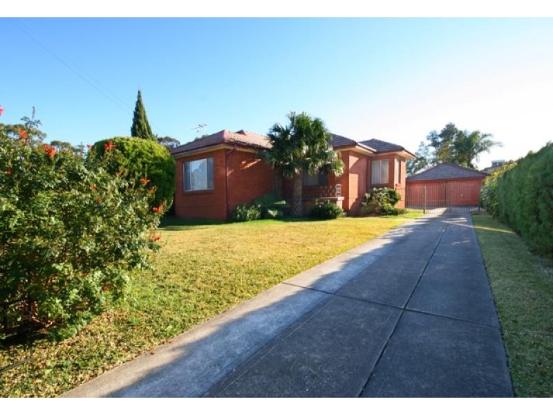 53 MUSCIO, Colyton NSW 2760