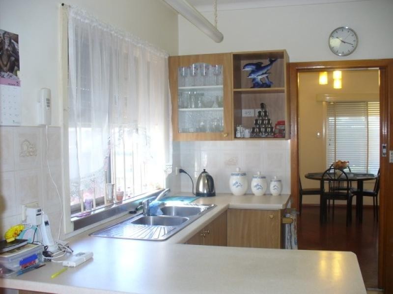 53 muscio, Colyton NSW 2760