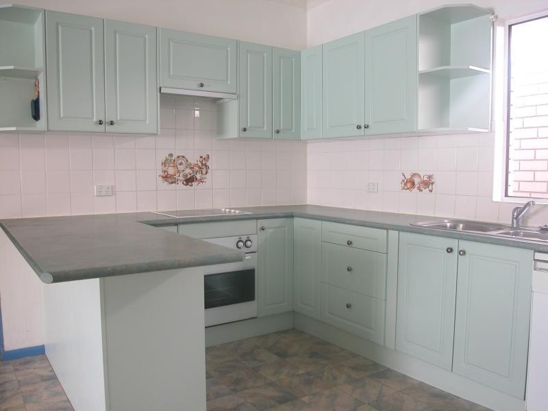 100 CORNELIA ROAD, Toongabbie NSW 2146