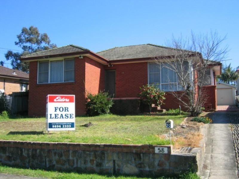 58 Athabaska Avenue, Seven Hills NSW 2147