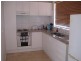 11 Ancona Avenue, Toongabbie NSW 2146
