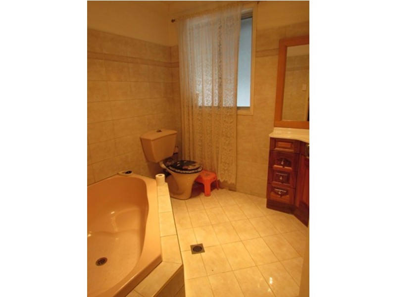 174 Metella Road, Toongabbie NSW 2146