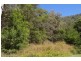 Wheeny Creek NSW 2758