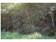 Wheeny Creek NSW 2758