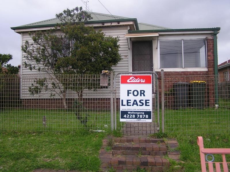 22 Lake Ave, Cringila NSW 2502