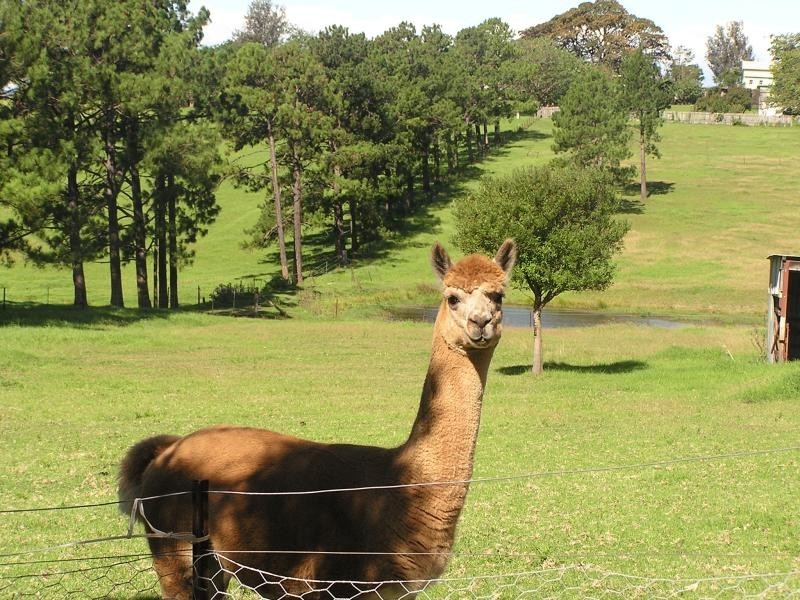 Marshall Mount NSW 2530