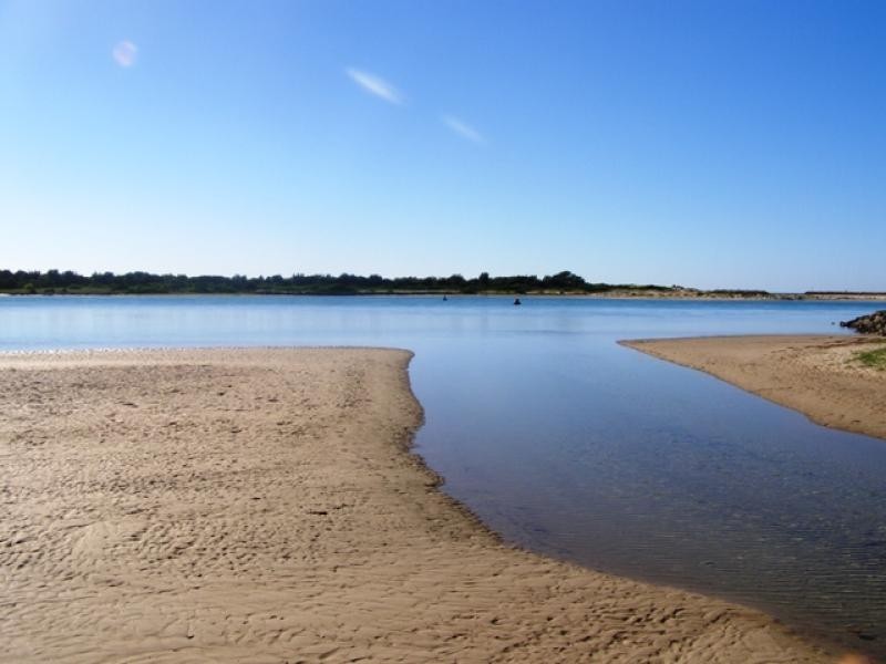 Lake Illawarra NSW 2528