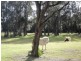 Kanahooka NSW 2530