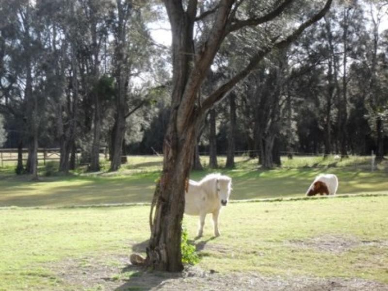 Kanahooka NSW 2530