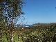 Angourie NSW 2464