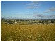 54 MERRYVILLE DRIVE, Murrumbateman NSW 2582