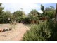 69 Chewings Street, Scullin ACT 2614