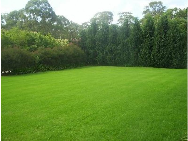 40 Collies Lane, Mardi NSW 2259
