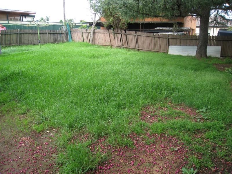 55 Winifred Street, Condell Park NSW 2200