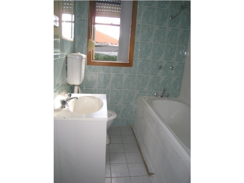 19 Weyland Street, Punchbowl NSW 2196