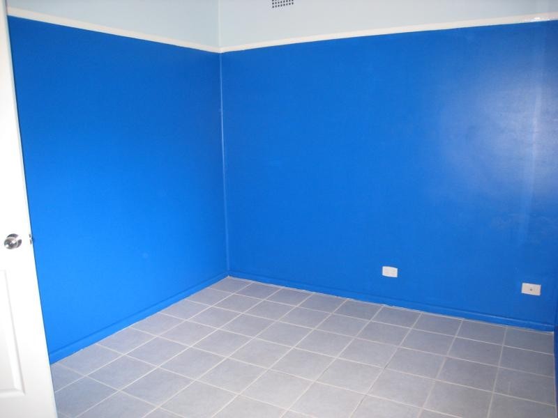 19 Weyland Street, Punchbowl NSW 2196