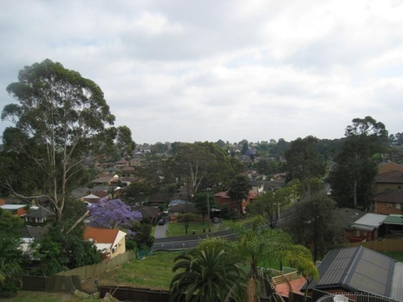 24 Dalton Avenue, Condell Park NSW 2200