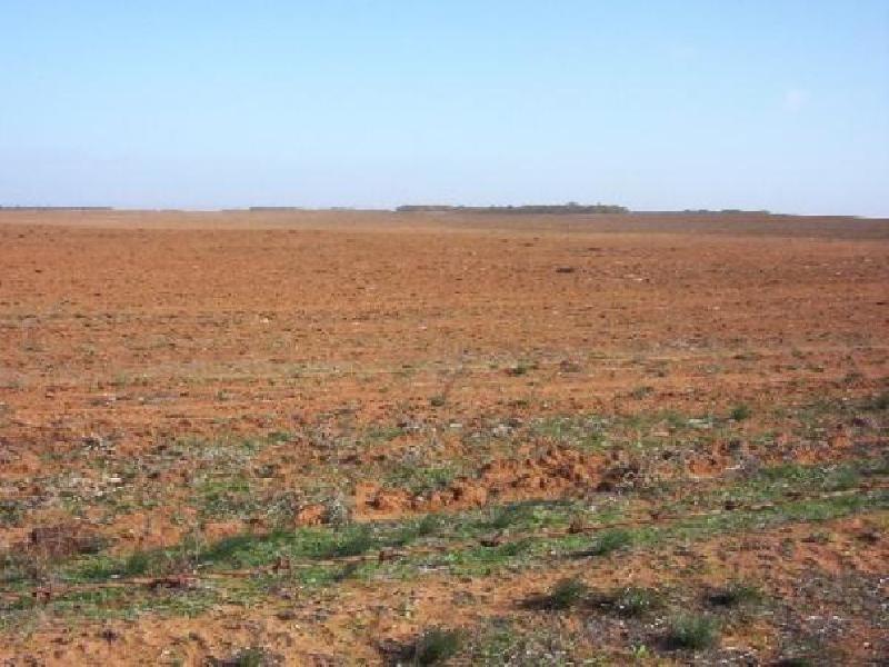 COWELL, 34 KM NORTH EAST OF COWELL, Cowell SA 5602