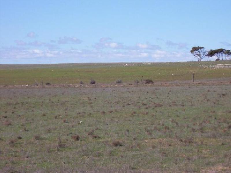 23 KMS SOUTH EAST OF CEDUNA, Ceduna SA 5690