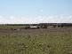 23 KMS SOUTH EAST OF CEDUNA, Ceduna SA 5690