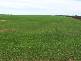 COOLANIE VALLEY, Cowell SA 5602