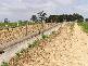 WRATTONBULLY VIA NARACOORTE SOUTH AUSTRALIA, Wrattonbully SA 5271