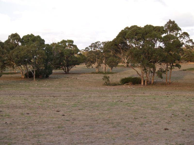 KEILIRA BLOCK, Kingston Se SA 5275