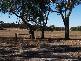 KEILIRA BLOCK, Kingston Se SA 5275