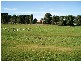 KALPERRI ROAD, Gawler SA 5118