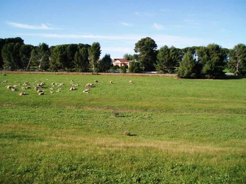 KALPERRI ROAD, Gawler SA 5118
